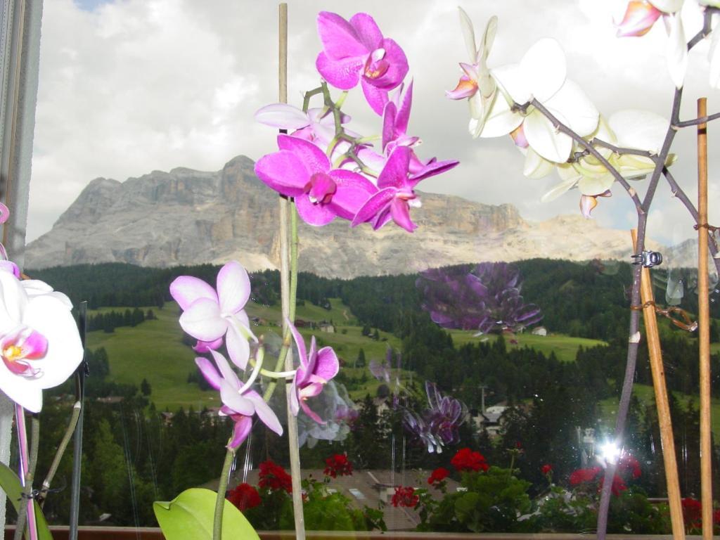 Ciasa Rudiferia Appartamenti In Alta Badia Badia (South Tyrol) Exterior foto