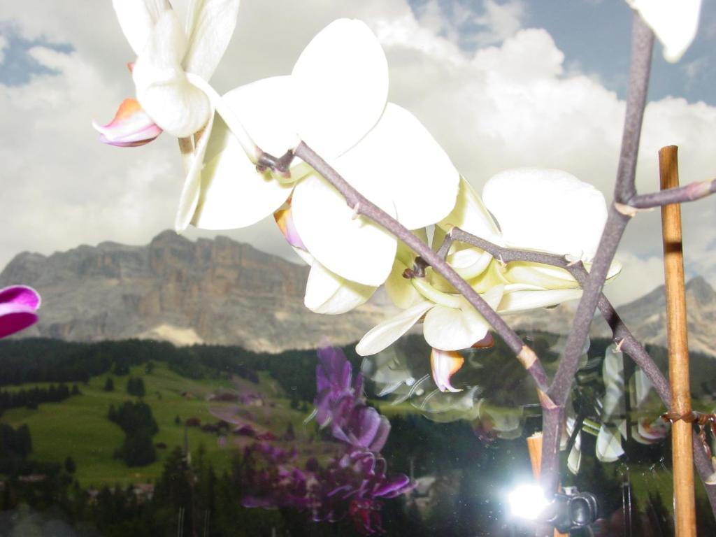Ciasa Rudiferia Appartamenti In Alta Badia Badia (South Tyrol) Exterior foto