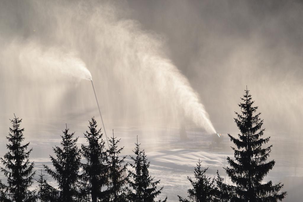 Ciasa Rudiferia Appartamenti In Alta Badia Badia (South Tyrol) Exterior foto
